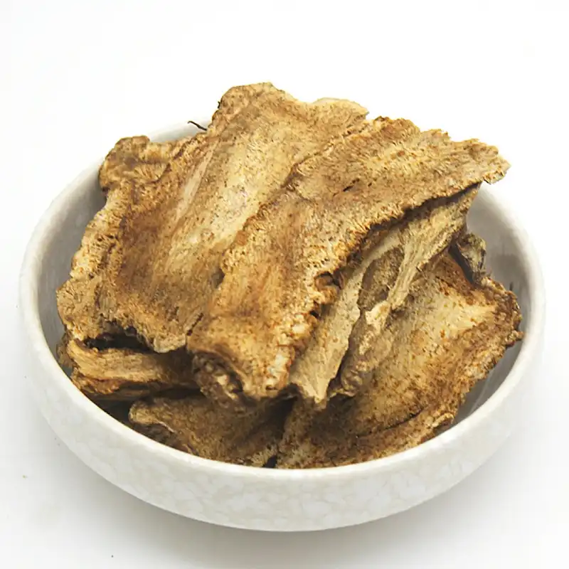 Exploring Bioactive Compounds in Aplotaxis Auriculata Extract